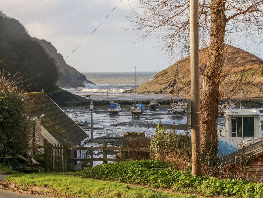 Cove View