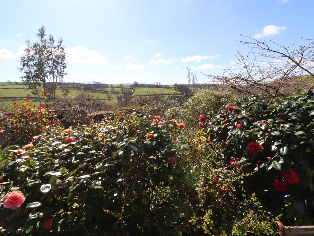 Magnolia View