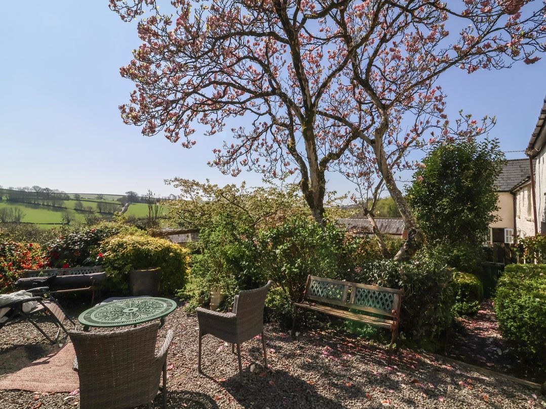 Magnolia View