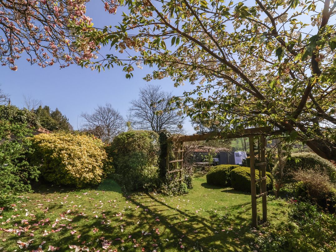 Magnolia View