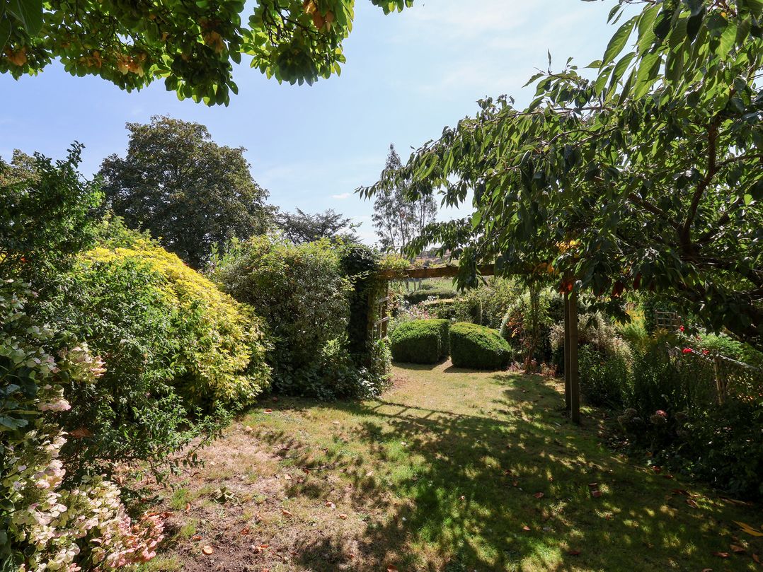 Magnolia View