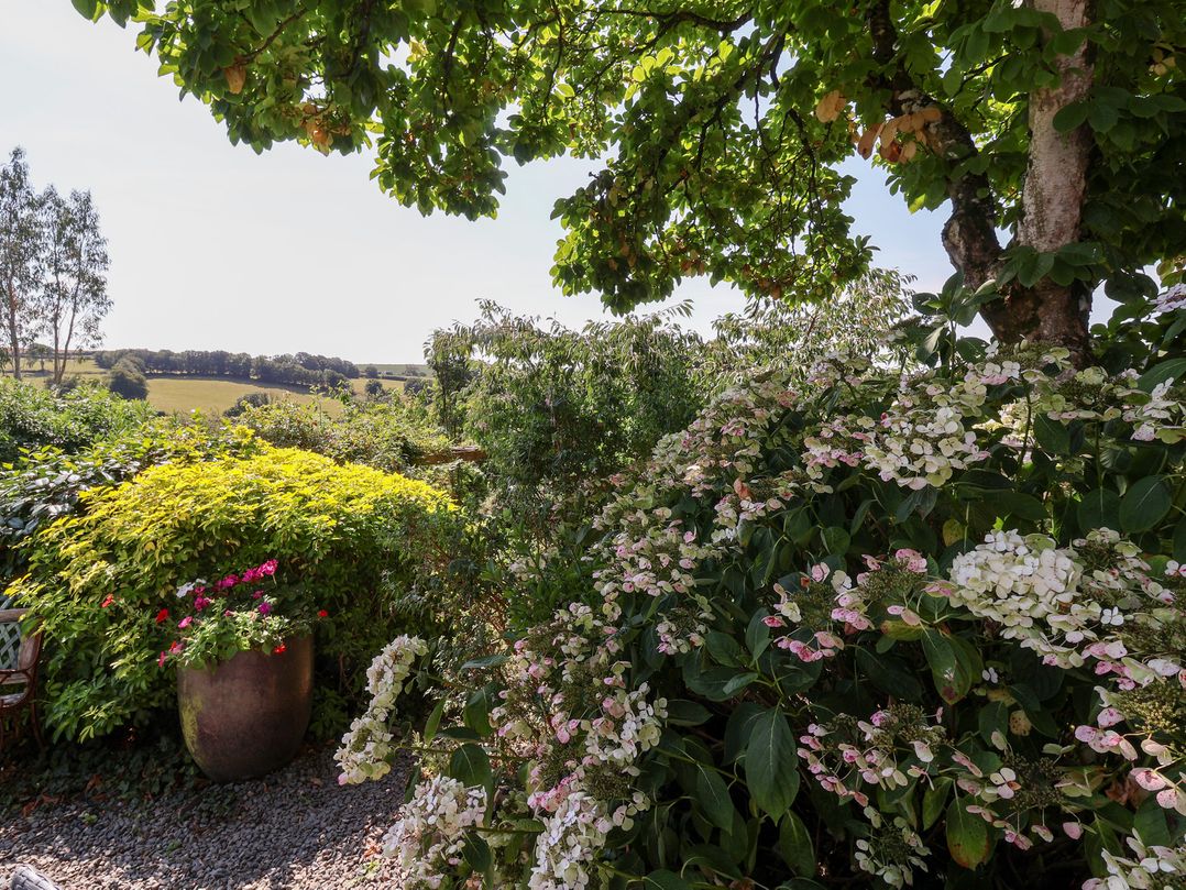 Magnolia View