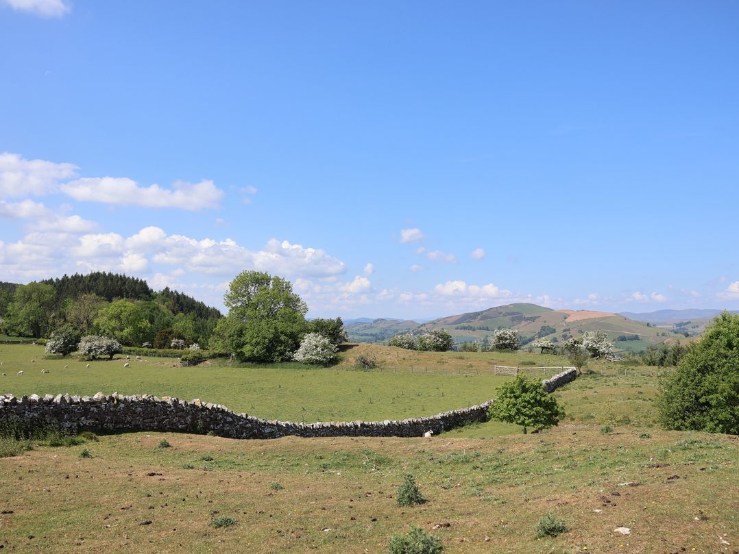 Cynynion Uchaf