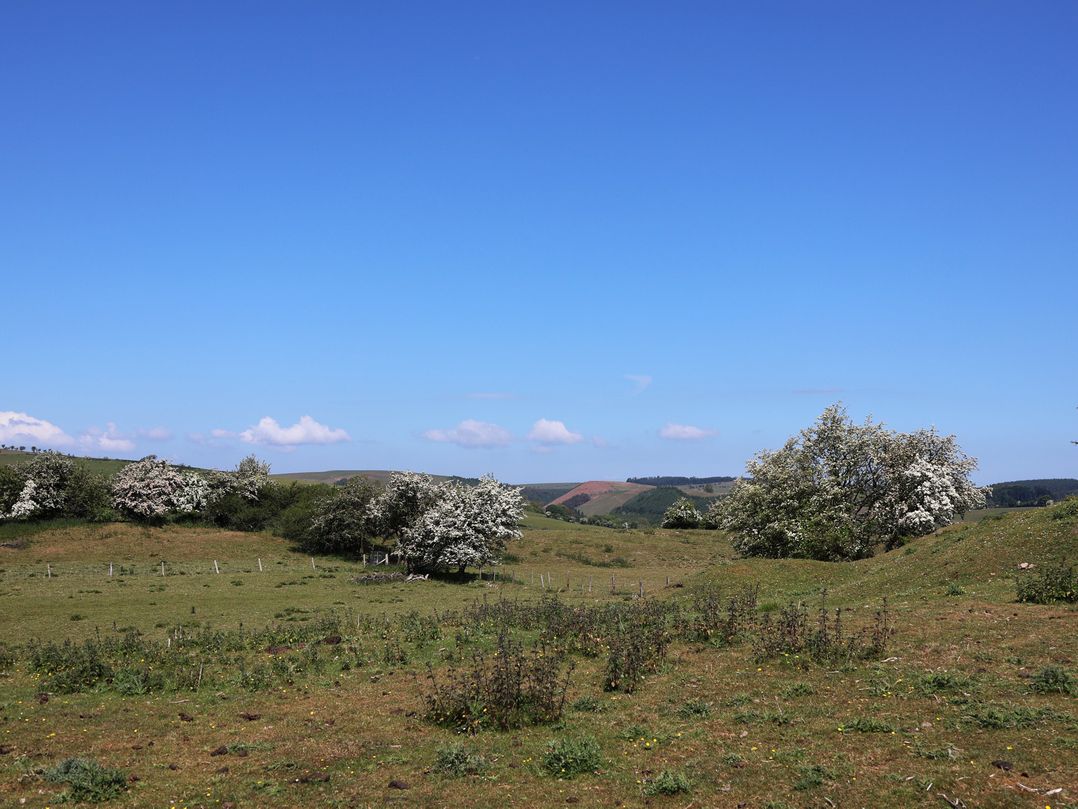 Cynynion Uchaf