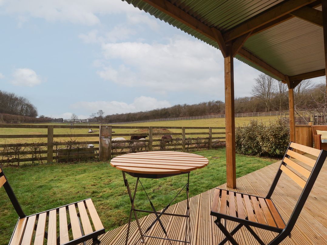 Beech Tree Cabin