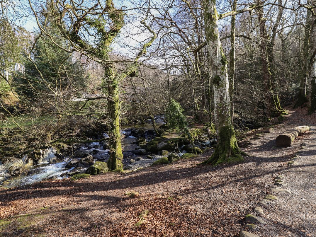 Clywedog Cottage