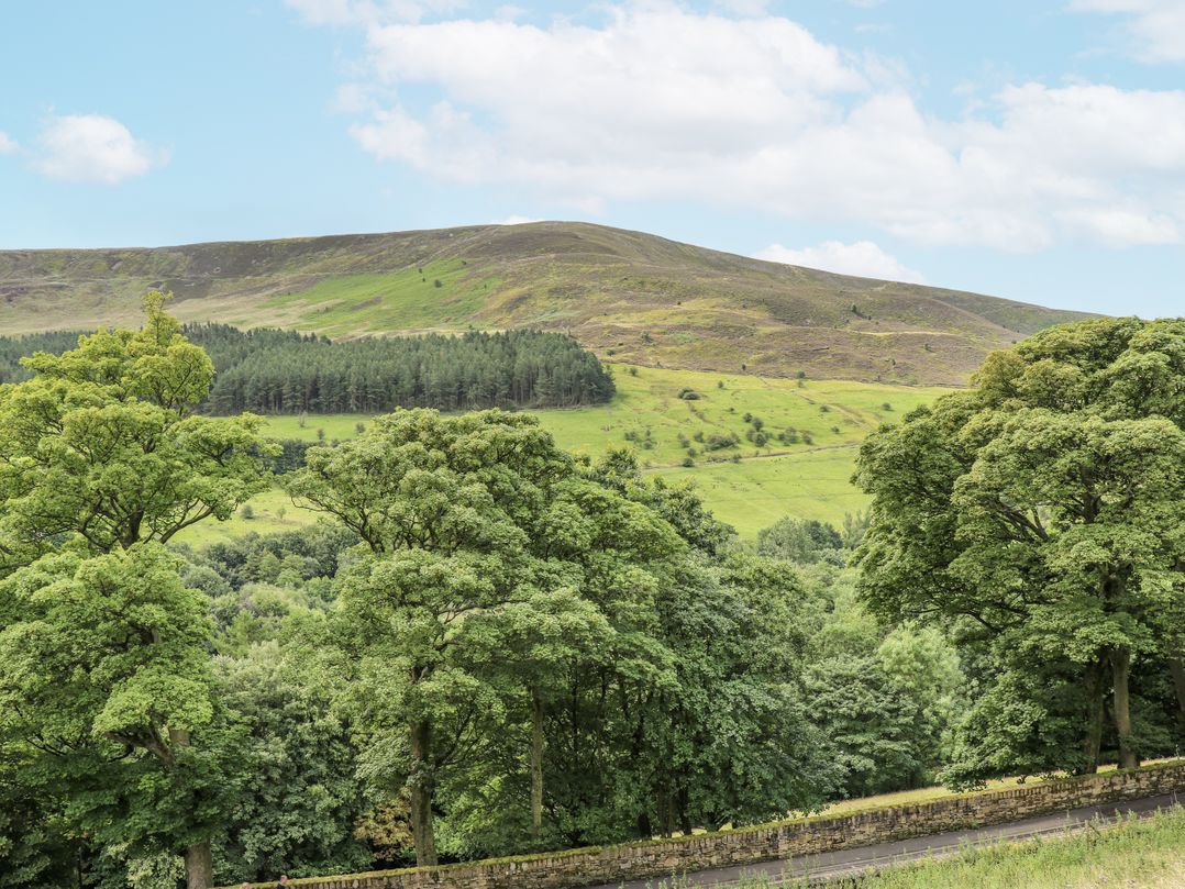 Court Street Cottage