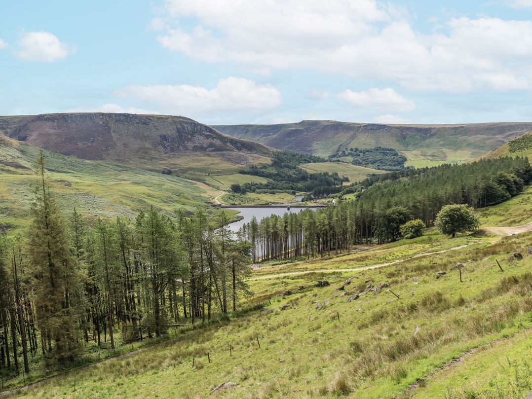 Court Street Cottage