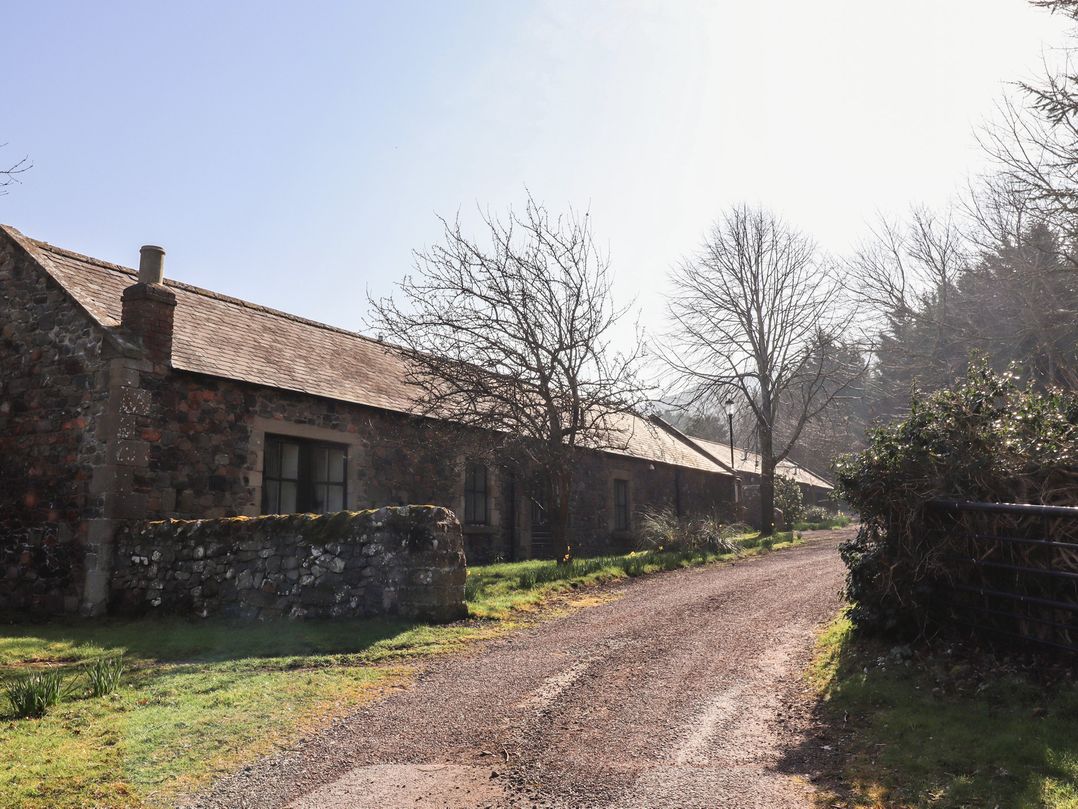 Lavender cottage