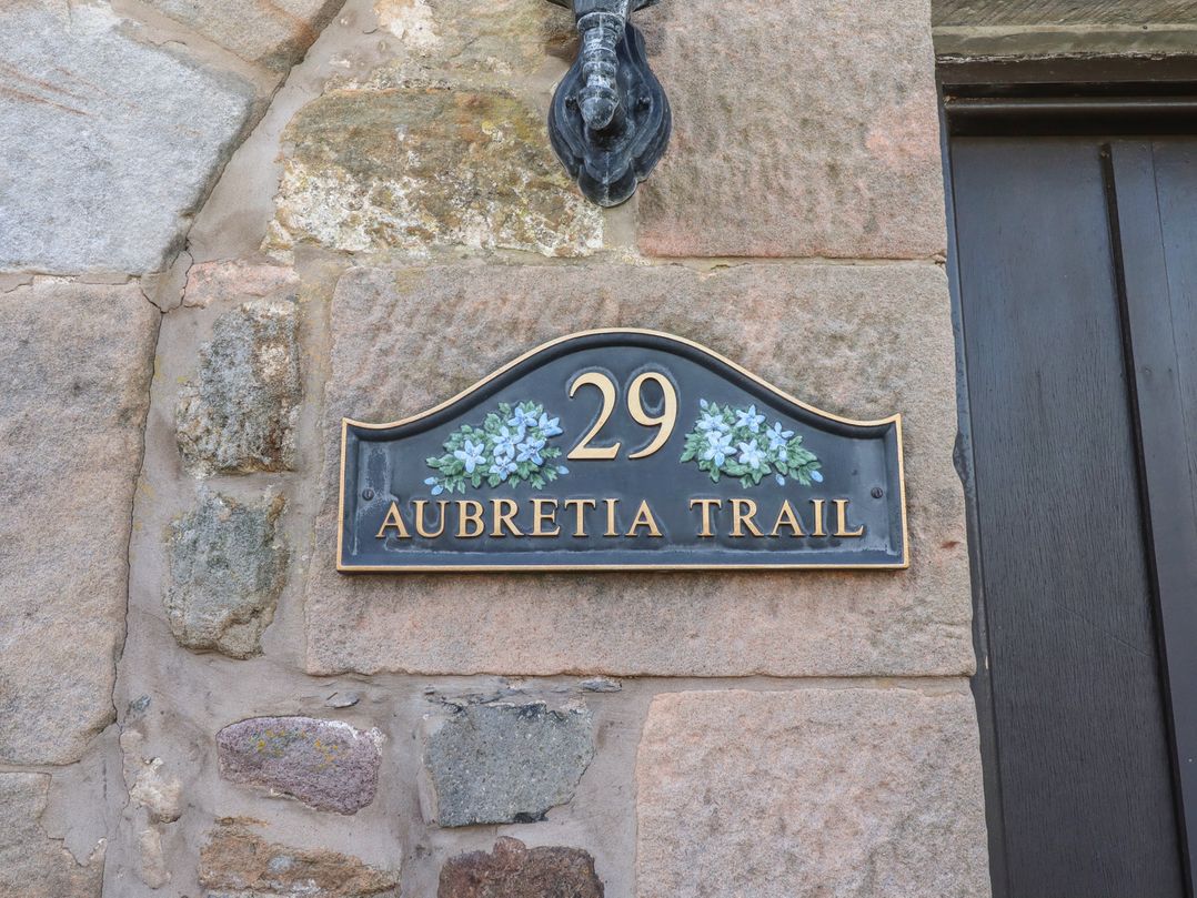 Aubretia Trail