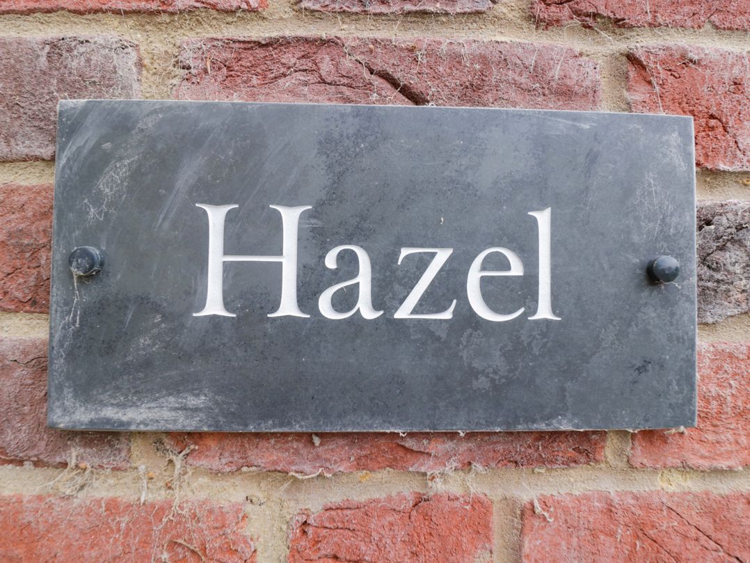Hazel