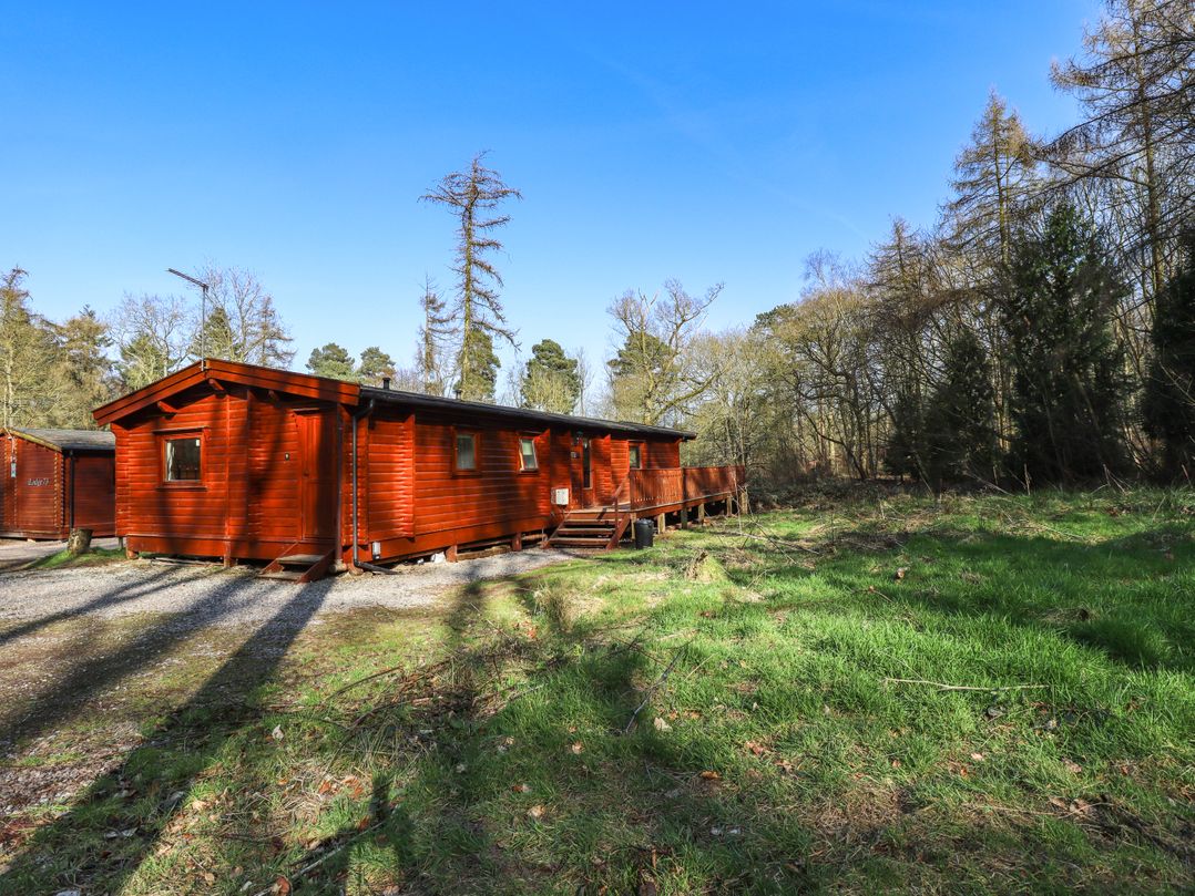 Forrest Lodge