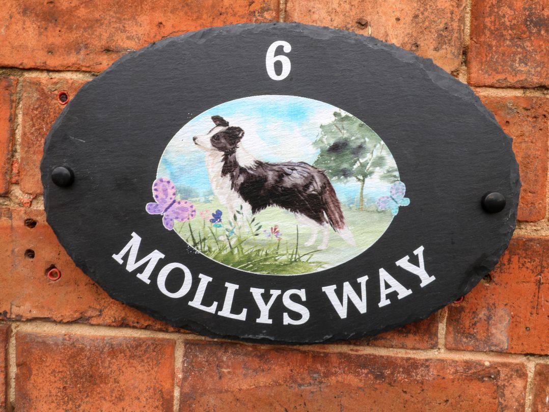 Molly's Way