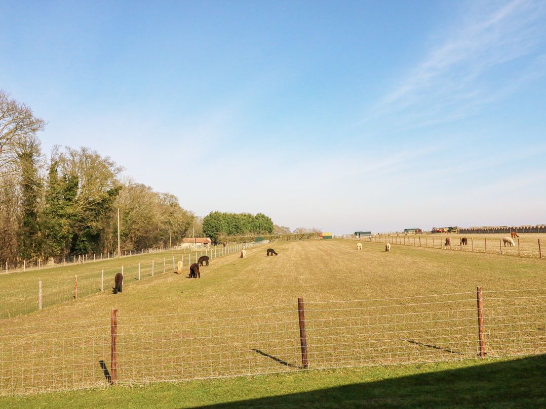 Alpaca Lodge