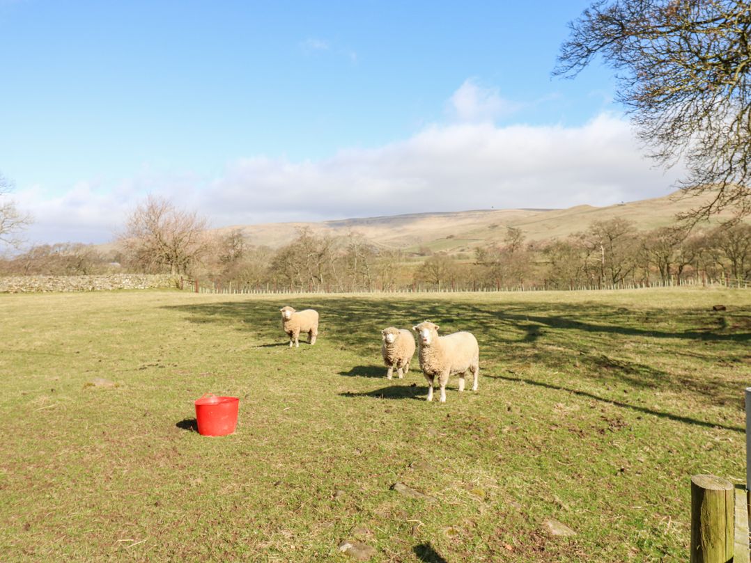 Rayson Hall Barns