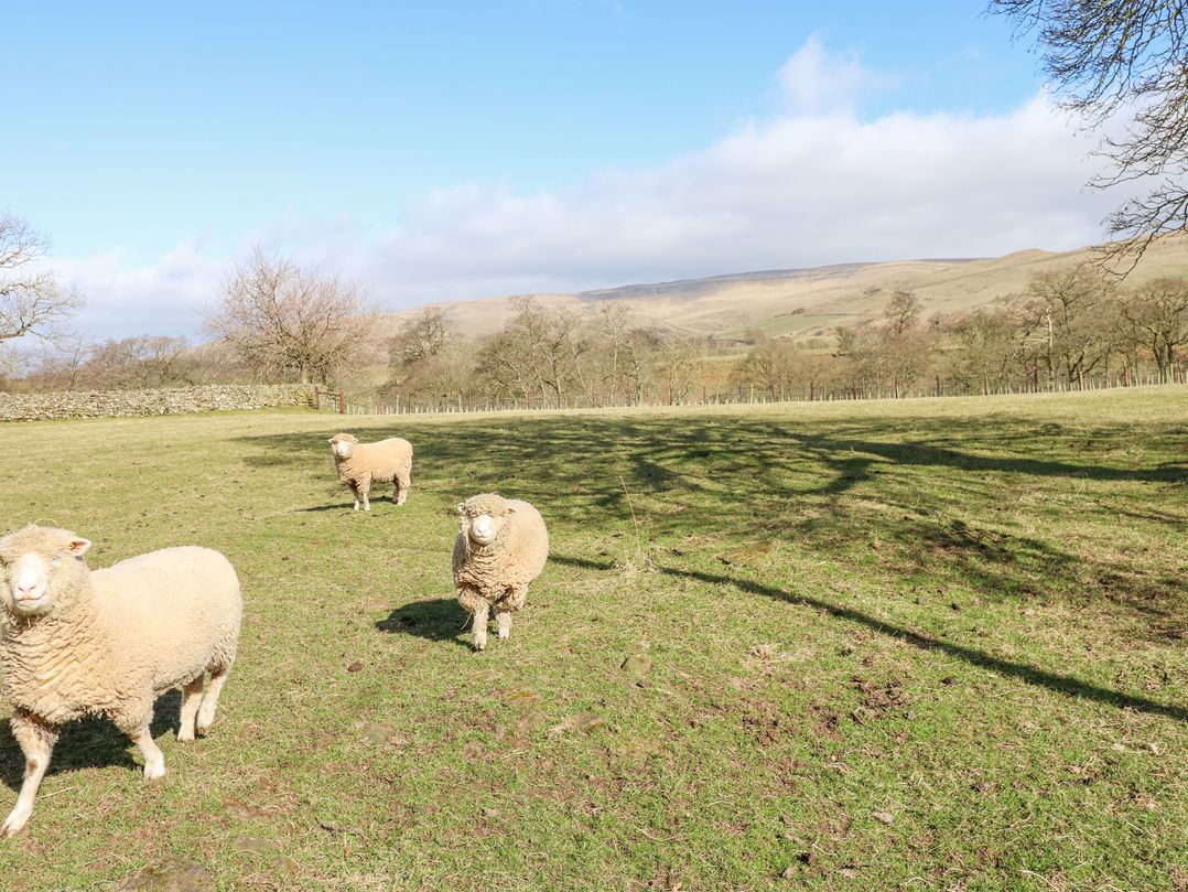 Rayson Hall Barns