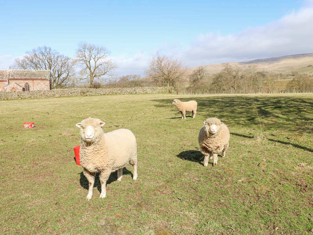 Rayson Hall Barns
