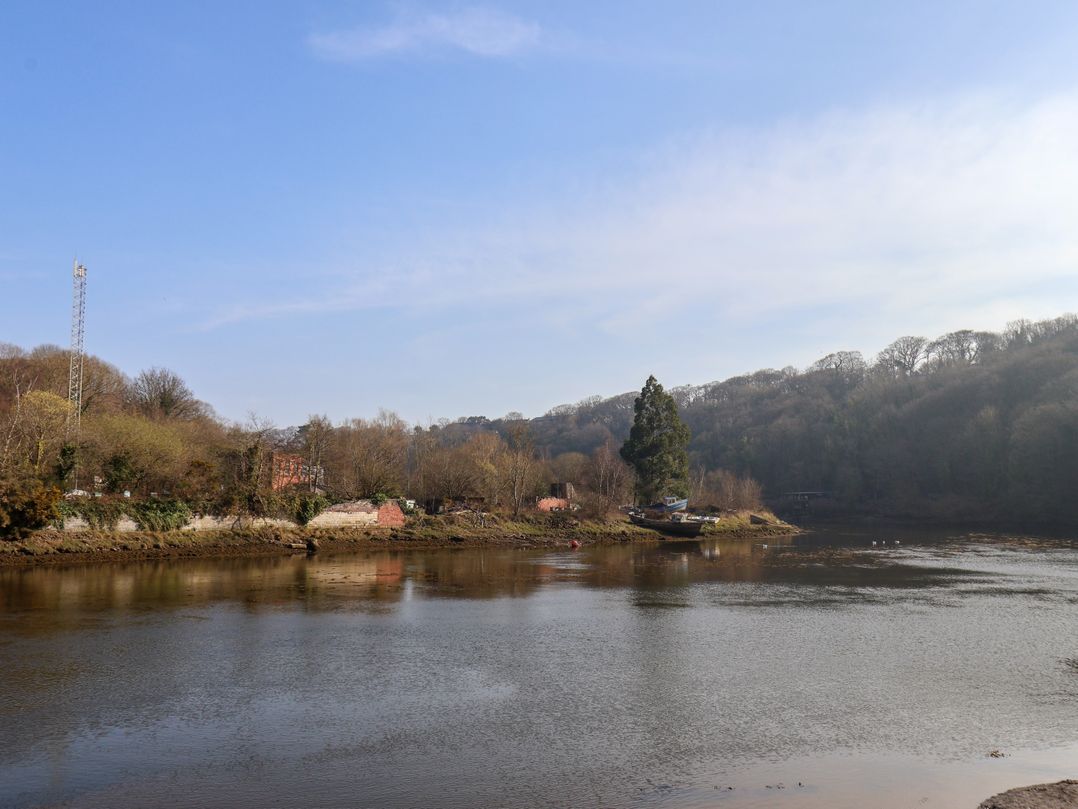 No.15 Riverside Walk (Mallard)