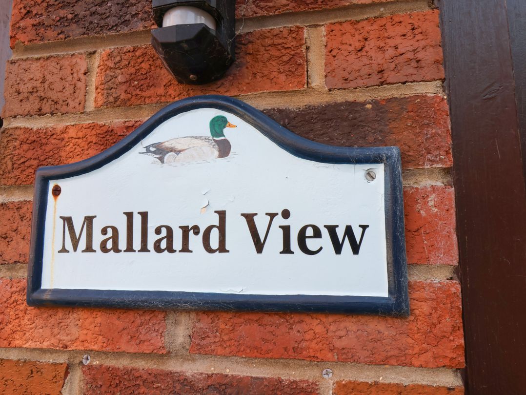 No.15 Riverside Walk (Mallard)