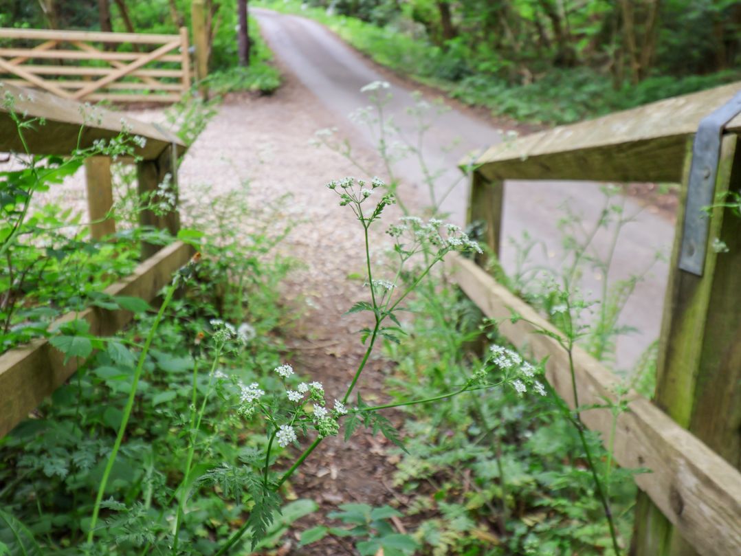 Roe Deer Lodge