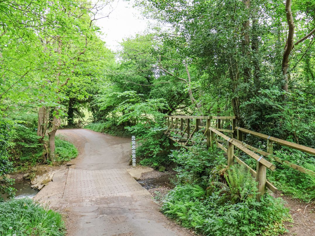 Roe Deer Lodge