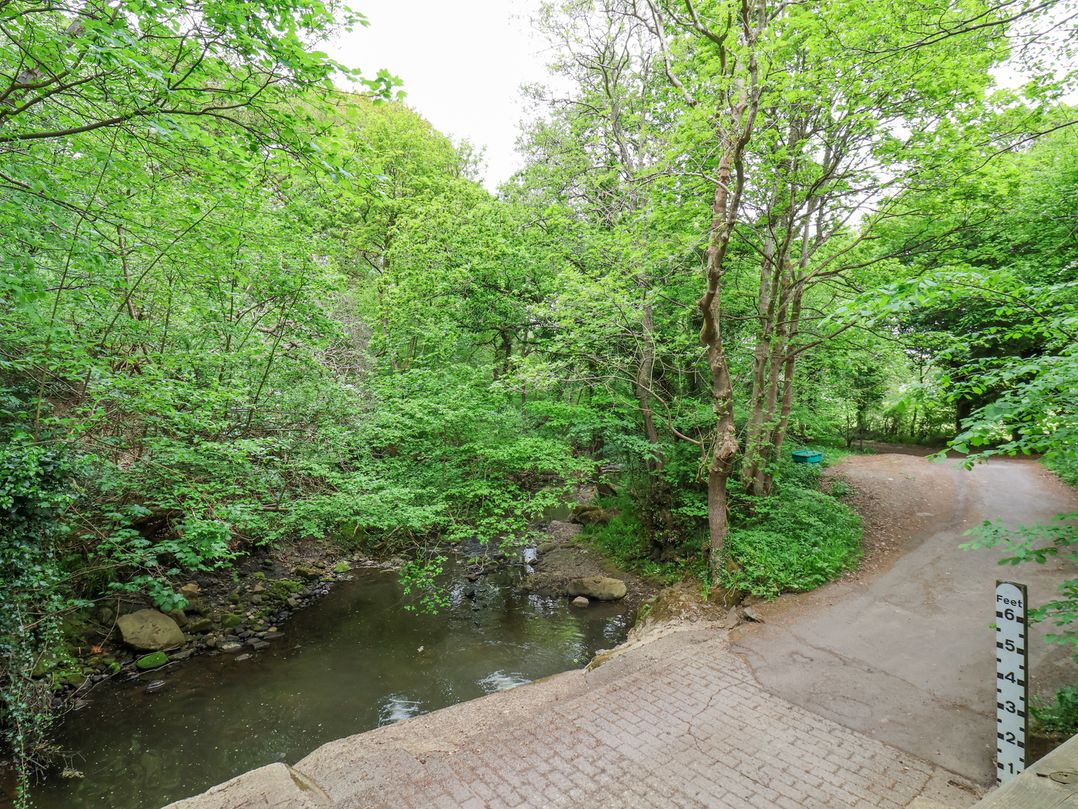 Roe Deer Lodge
