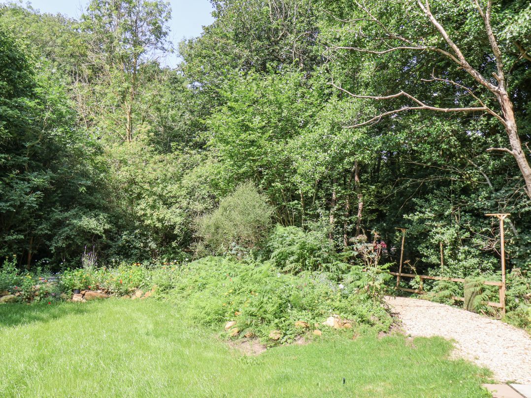 Roe Deer Lodge