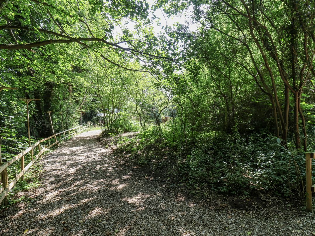 Roe Deer Lodge