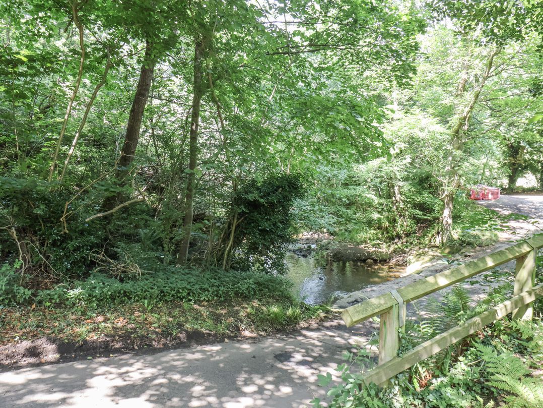 Roe Deer Lodge