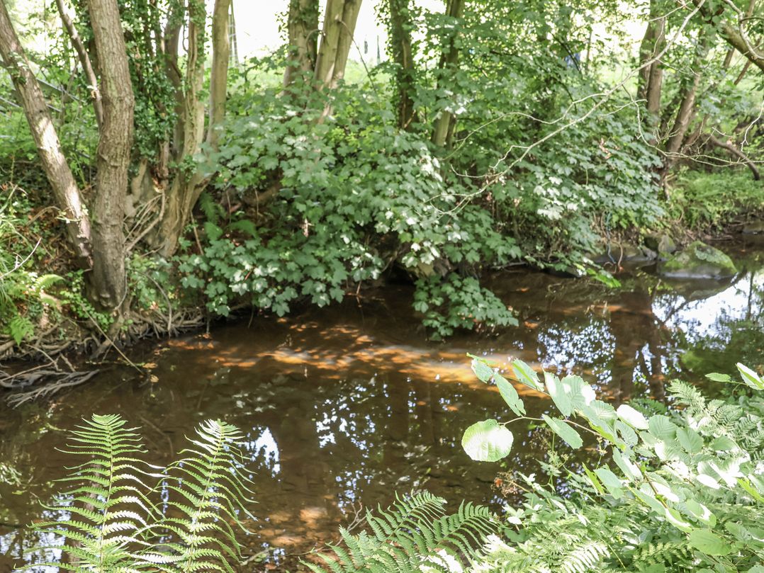 Roe Deer Lodge