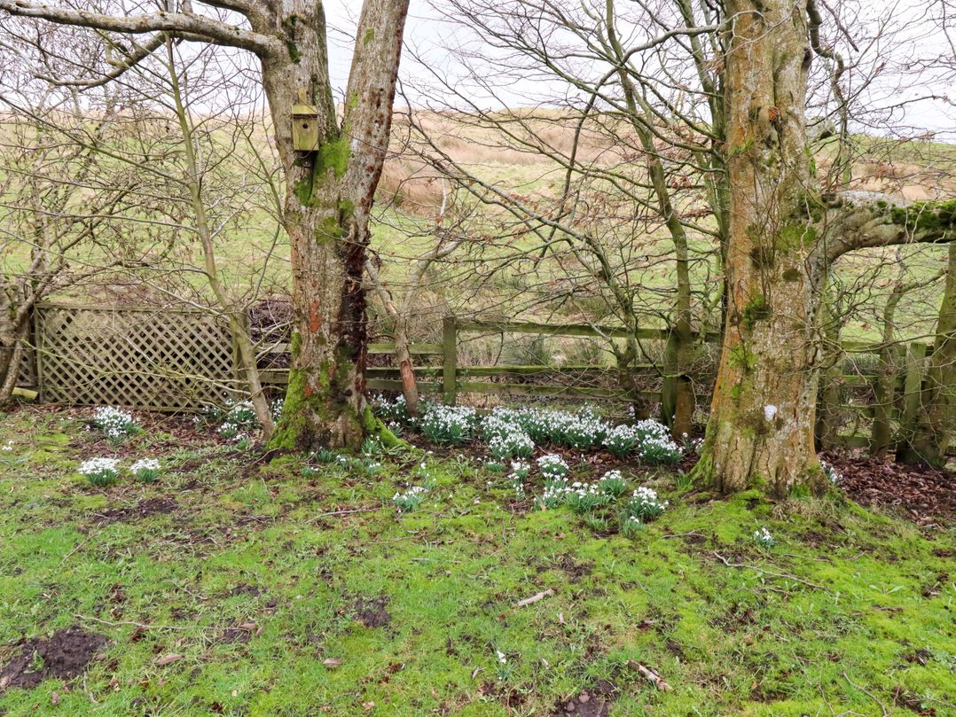 Petty Knowes Cottage