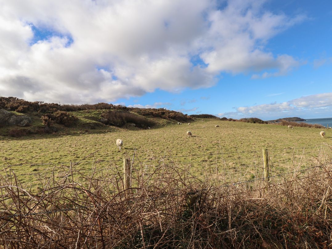 Hen Stabl at Tyn Llan