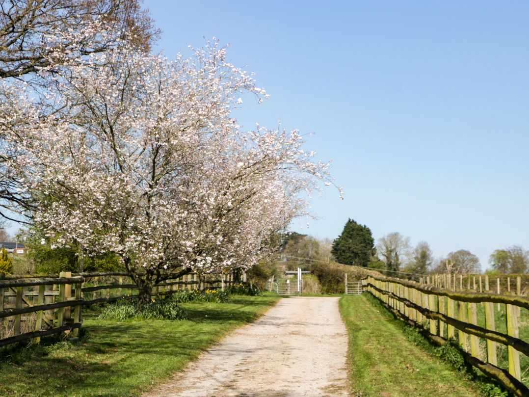 The Cottage at Rocklands Farm