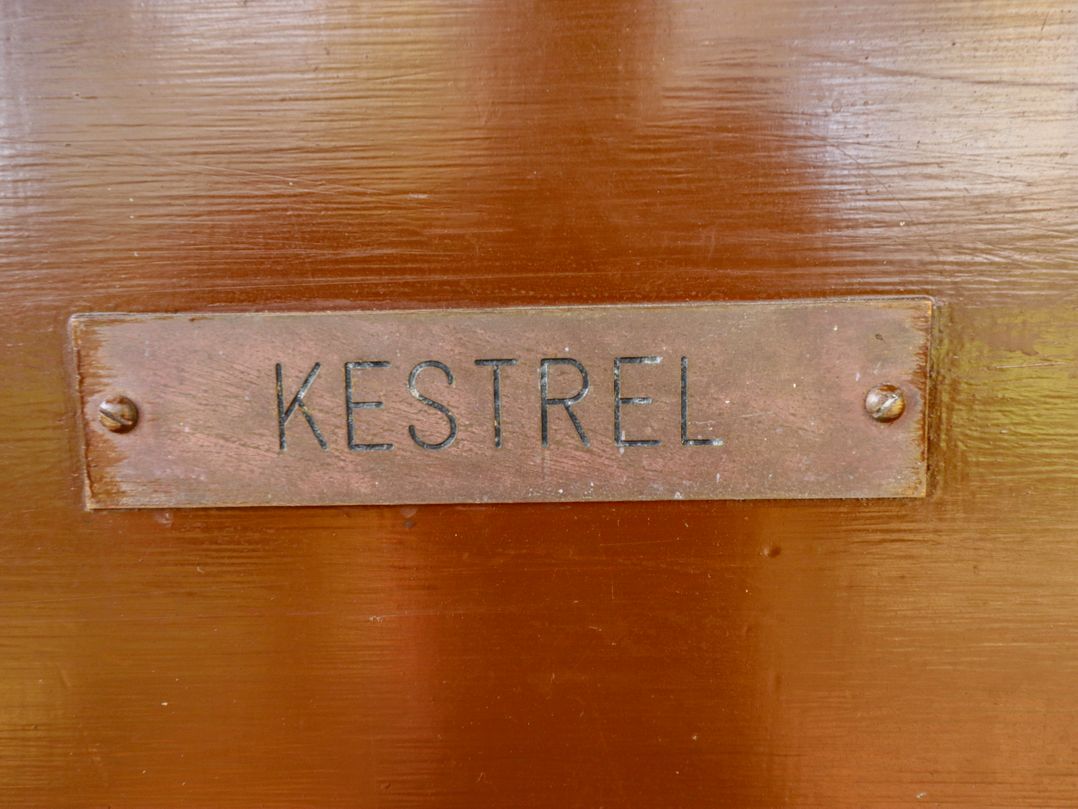 Kestrel
