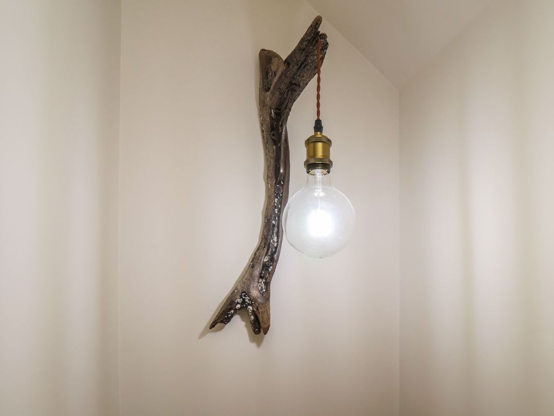 Driftwood