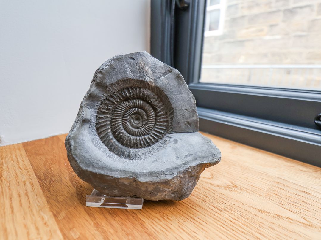 The Old Jet Workshop