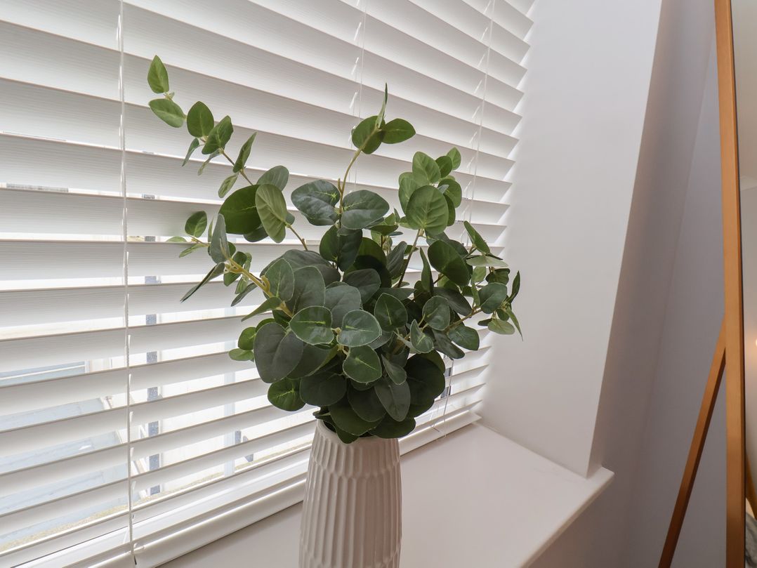 The Salisbury Apartment 203