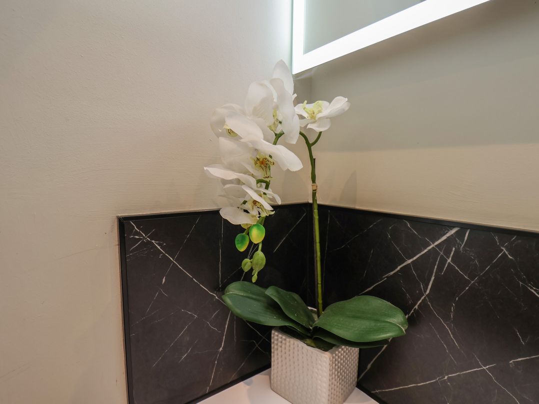 The Salisbury Apartment 203