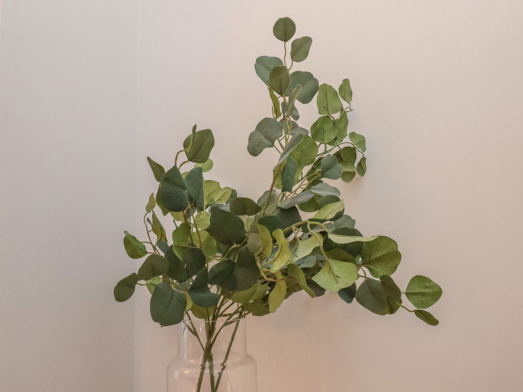 The Salisbury Apartment 301