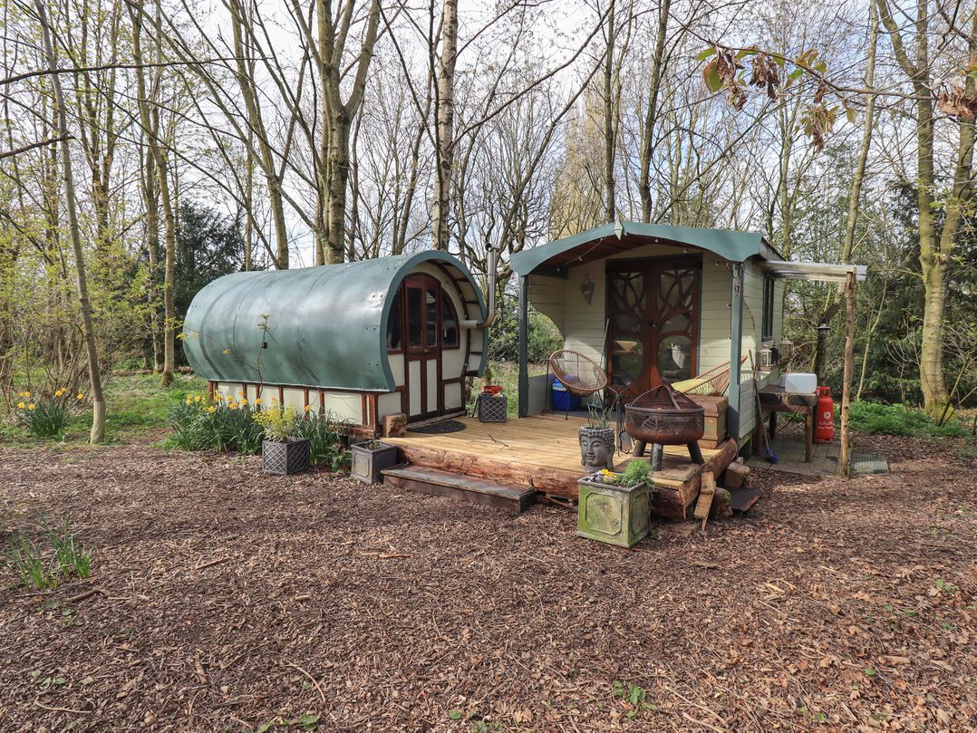 Rosa Gypsy Pod