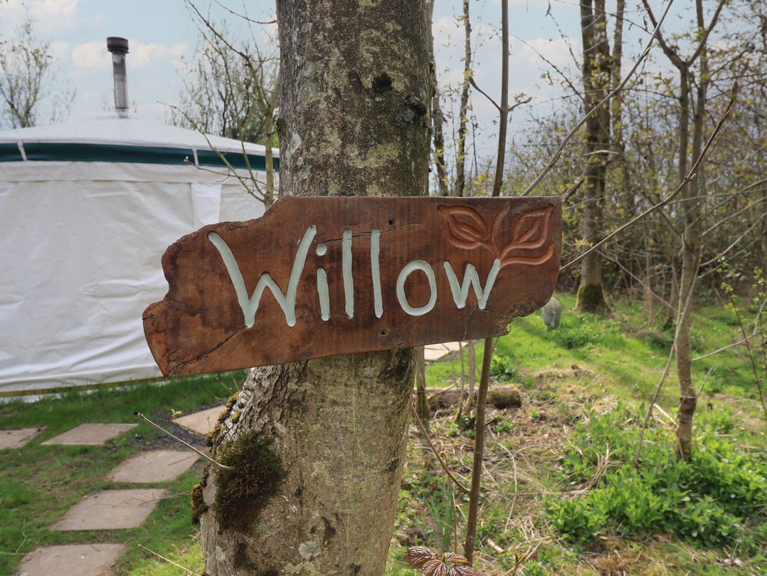 Willow Yurt