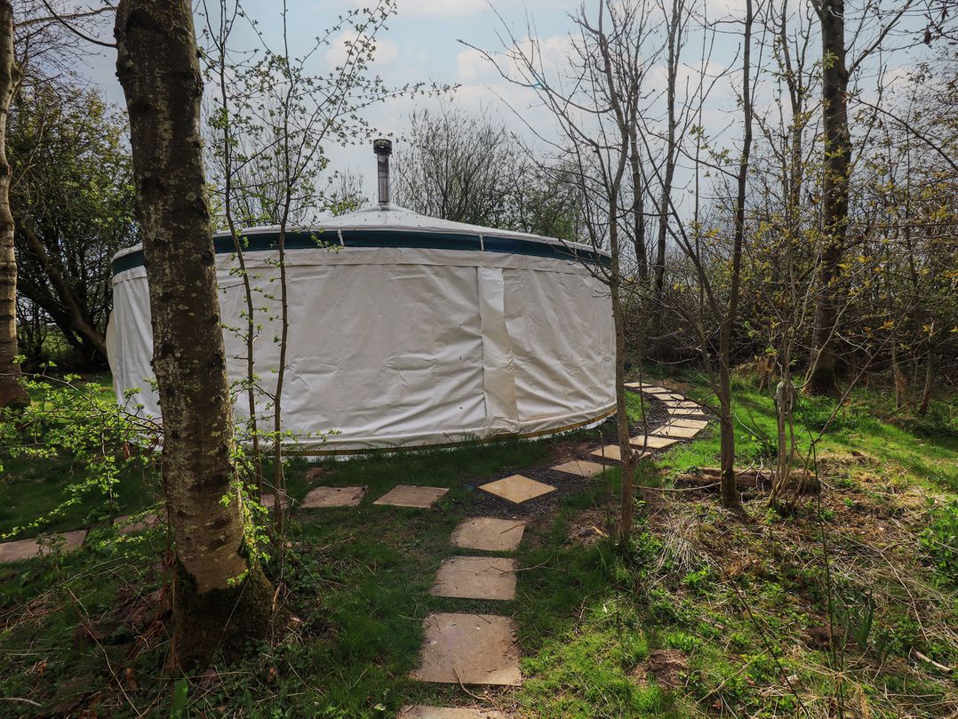 Willow Yurt