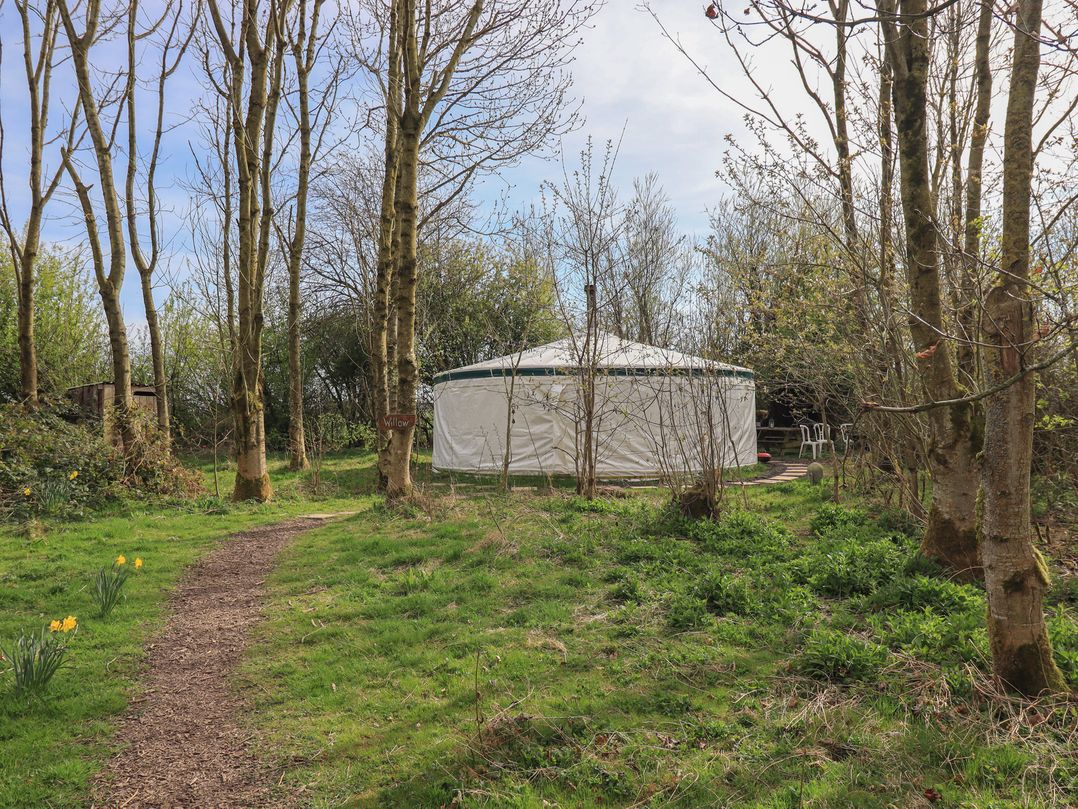 Willow Yurt