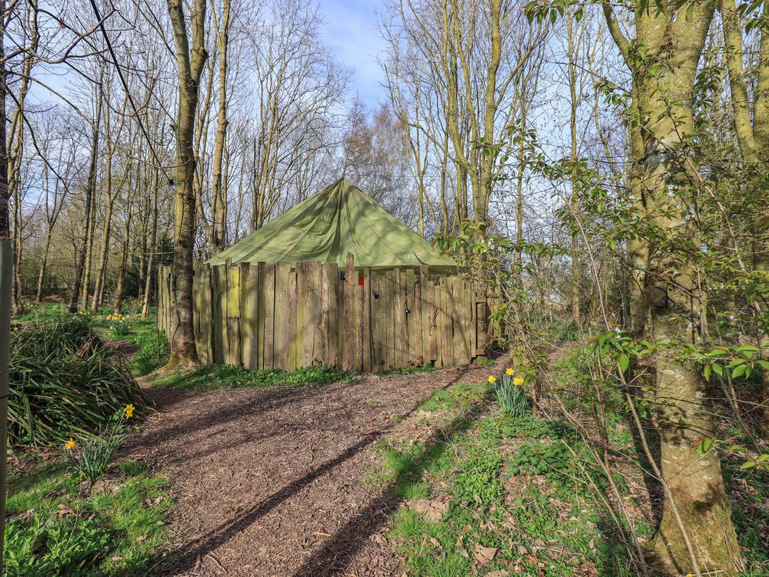 Yewberrie Yurt