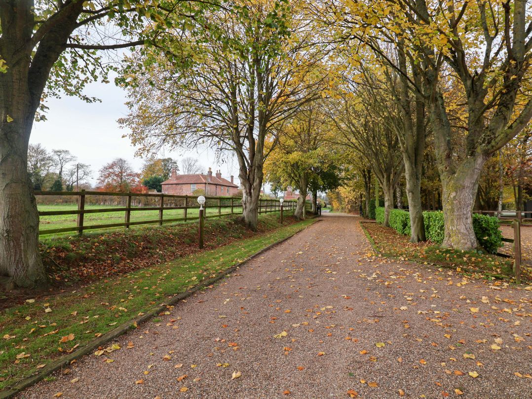 Beechwood