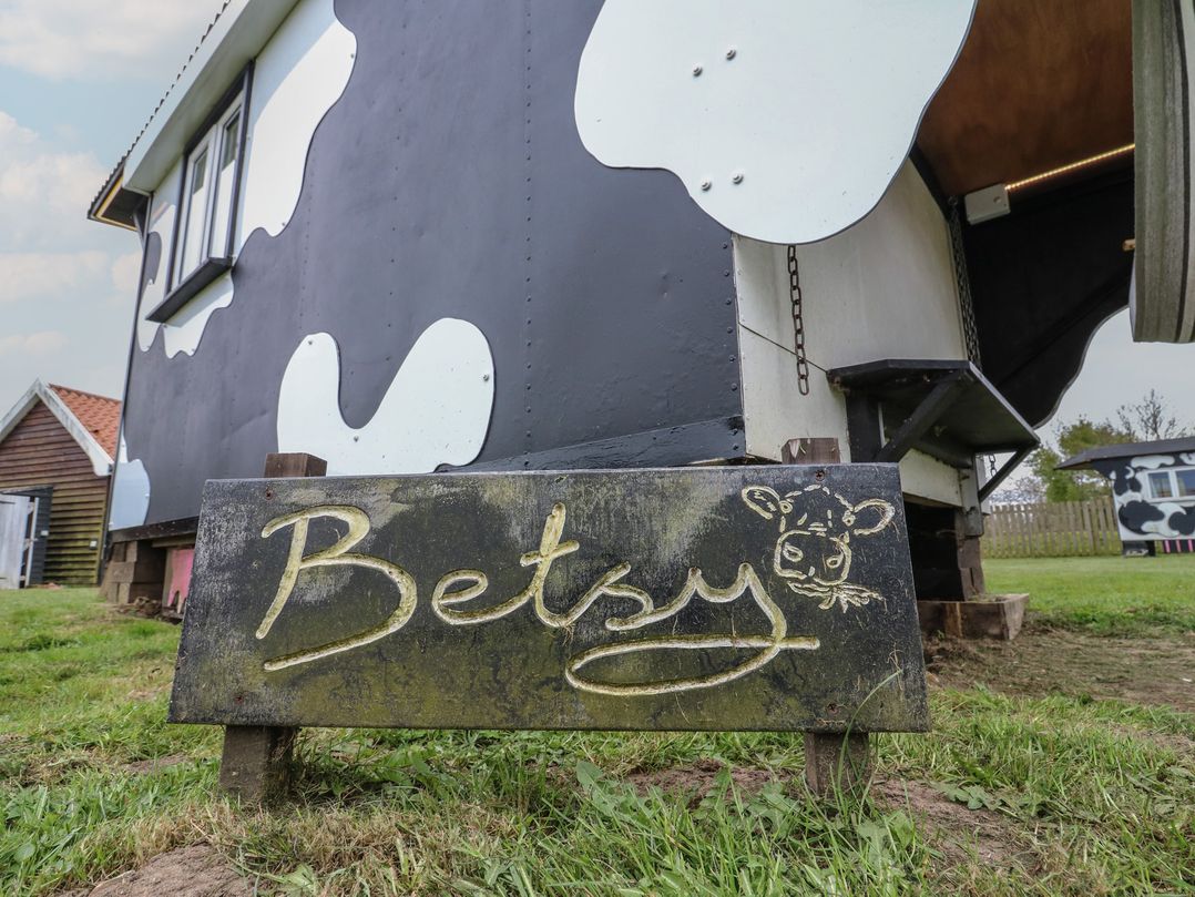 Betsy (Cow Shed 2)