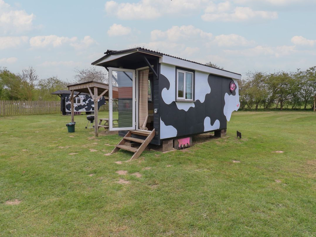 Betsy (Cow Shed 2)