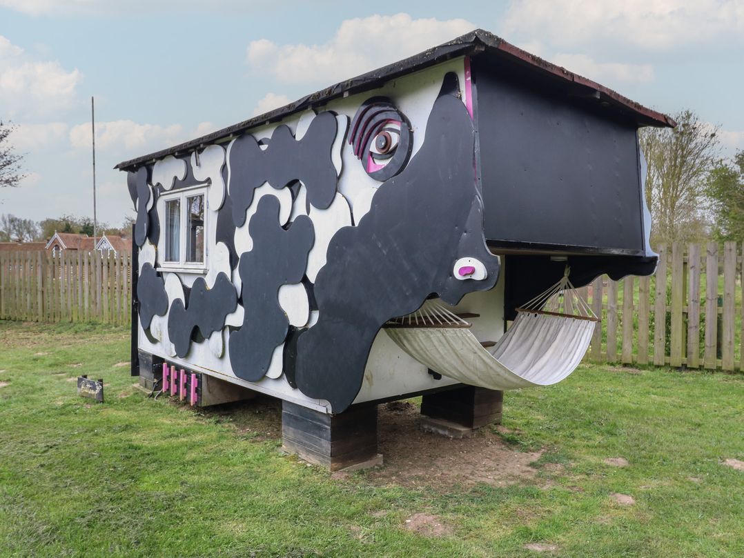 Buttercup (Cow Shed 3)