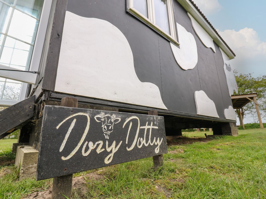 Dozy Dotty (Cow Shed 4)