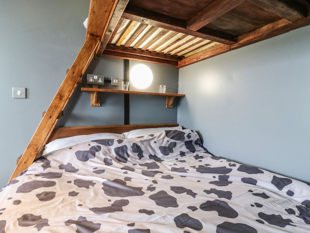 Dozy Dotty (Cow Shed 4)
